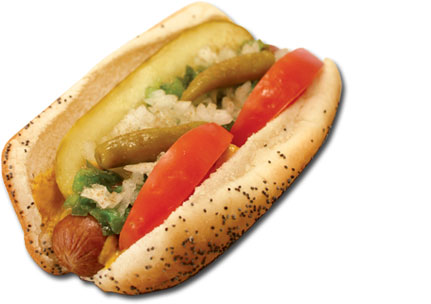Chicago Dog